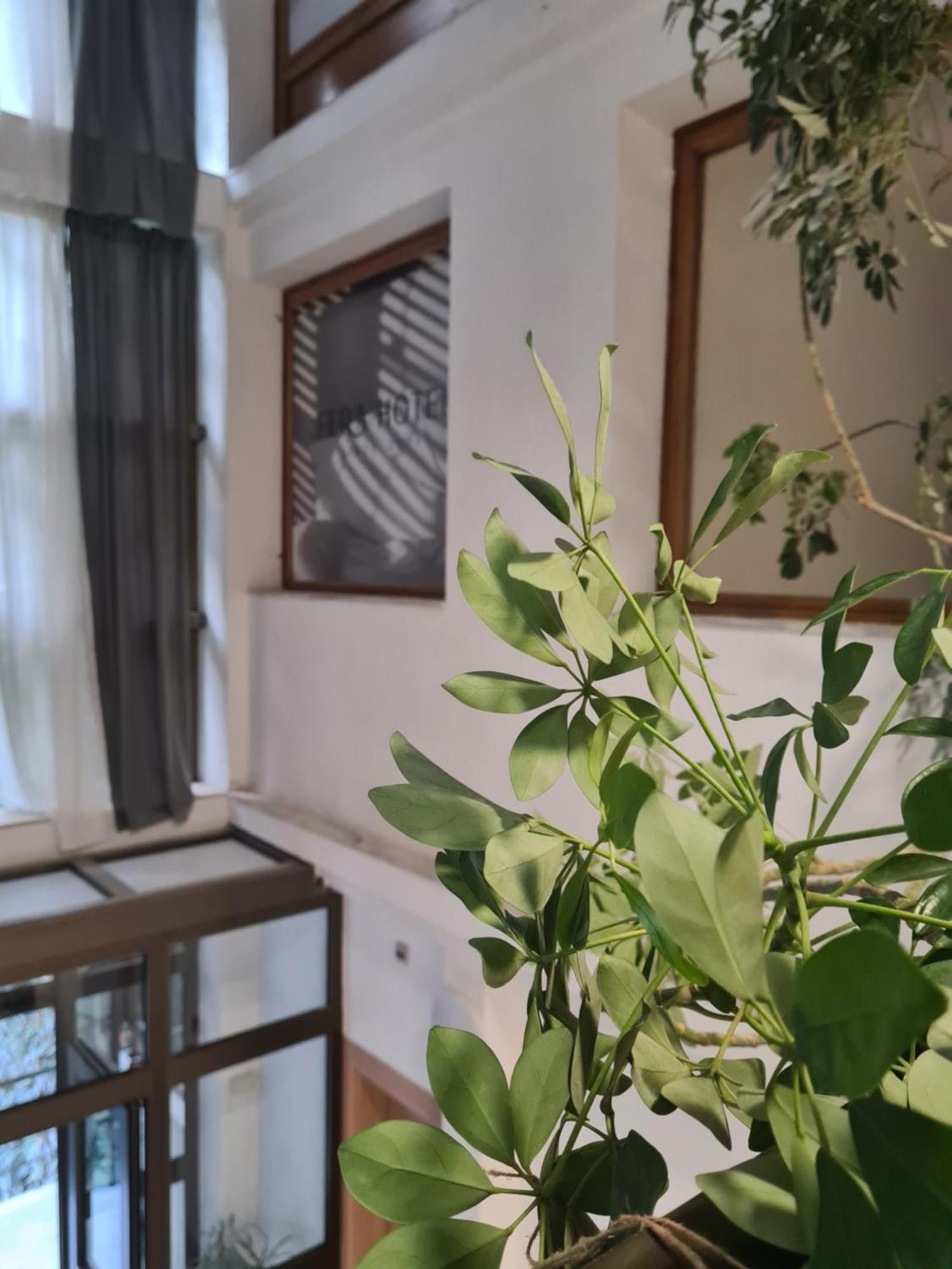 Fera Hotell Beograd Eksteriør bilde